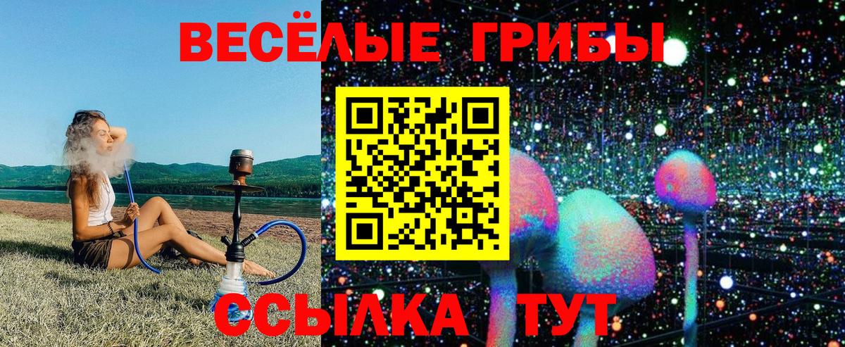 Галлюциногенные грибы мицелий Избербаш