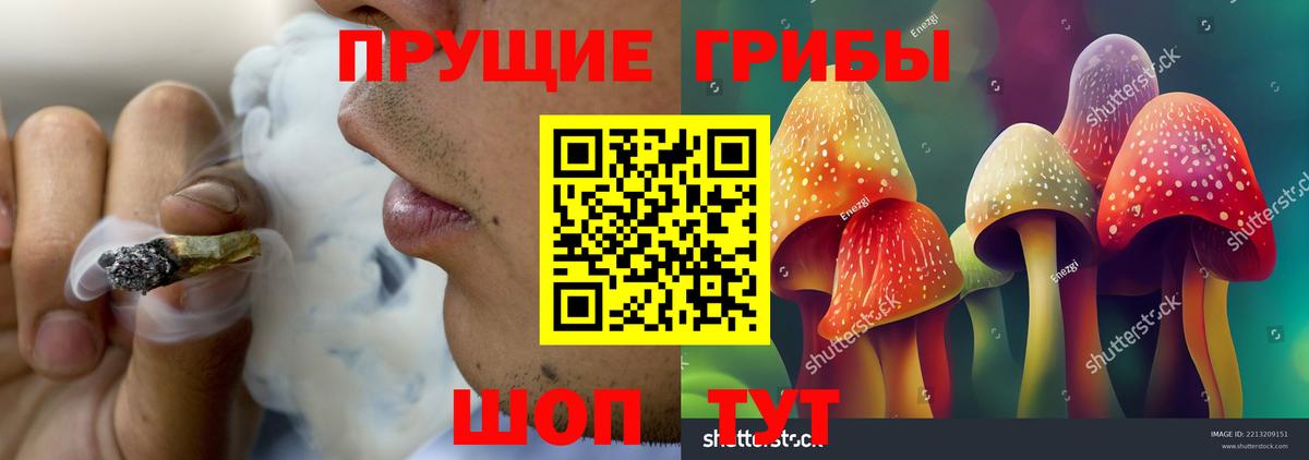 Избербаш  Псилоцибиновые грибы GOLDEN TEACHER  даркнет сайт  Вход с VPN 