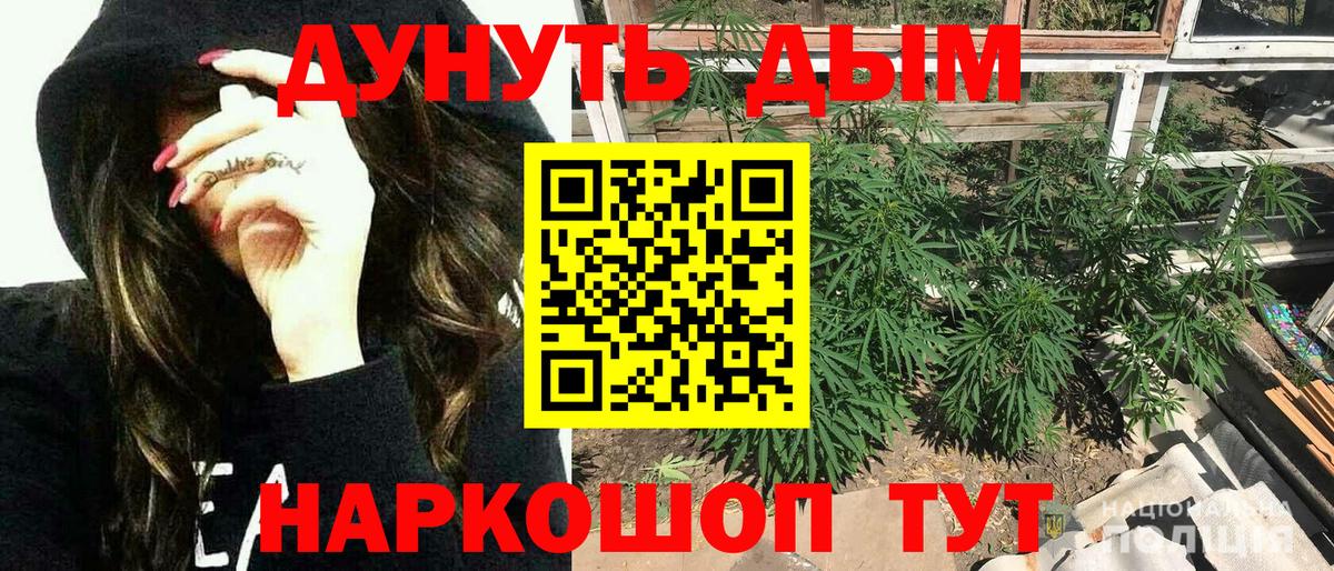 Канабис White Widow  Вход с VPN  Марихуана план  Избербаш  Каннабис гибрид 